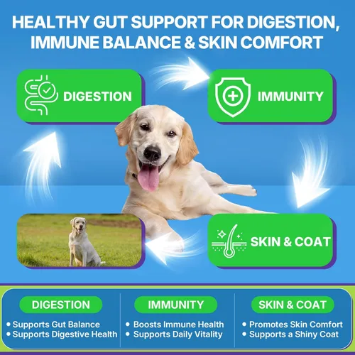 Vista 5 de 200 PCS Probióticos para Perros - Masticables Probióticos para Perros para la Salud Intestinal, Apoyo Digestivo y Alivio de Picazón en la Piel
