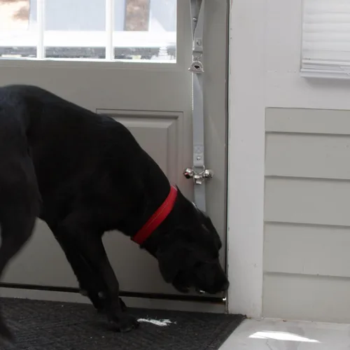 Vista 6 de Caldwell's Pet Supply Co. Campanas para Orinal para Perros, Campana para Puerta de Perro, Campanas para Salir al Exterior, Campana de Entrenamiento