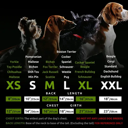 Vista 6 de Fitwarm - Pijama de murciélago para perro, disfraces de Halloween divertidos para perros pequeños (macho/hembra), ropa para mascota - Verde lima