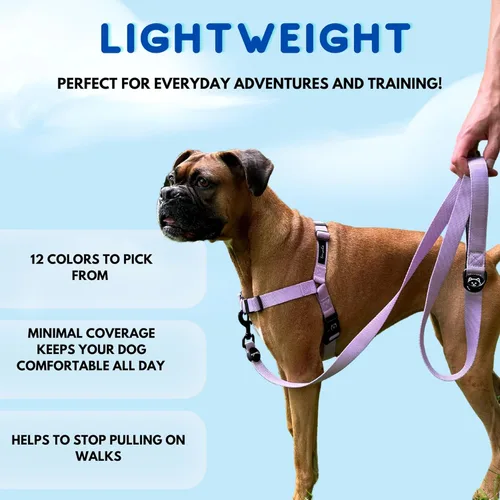 Vista 5 de ShawnCo Dream Walk - Arnés para perro sin tirones, ajustable, cómodo, fácil de usar para mascotas para ayudar a dejar de tirar, para perros