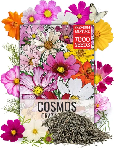 Vista 13 de Seed Needs paquete de venta al por mayor de 30 000 semillas de flores silvestres variadas (15 especies) de sombra parcial no modificadas