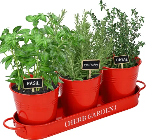Vista 10 de PERFNIQUE Jardín de Hierbas de Interior, Maceta para Hierbas de Interior/Exterior, Macetas de Estilo Campestre, Jardín de Hierbas en Ventana