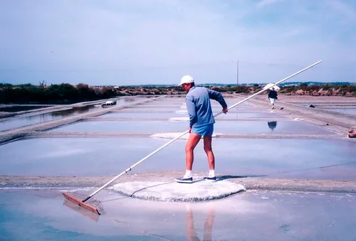 Vista 2 de Grey Salt (Sel Gris) en Shaker por Le Paludier