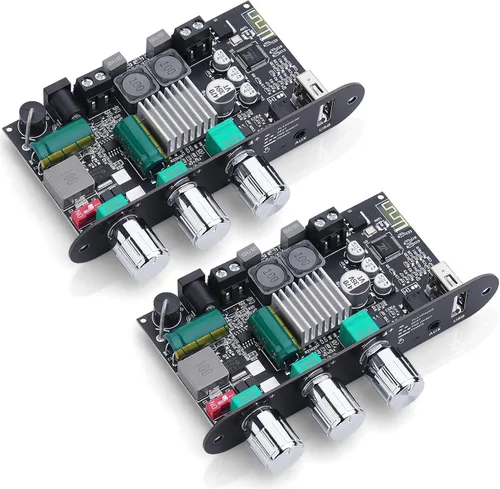 ZK-1001U - Paquete de 2 placas amplificadoras mono Bluetooth 5.3 con TWS, salida de potencia de 100 W, mini amplificador de audio para