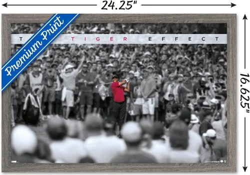 Vista 3 de Trends International Tiger Woods - Póster de pared con efecto tigre, 14.725 x 22.375 pulgadas, versión enmarcada de madera de granero Versión