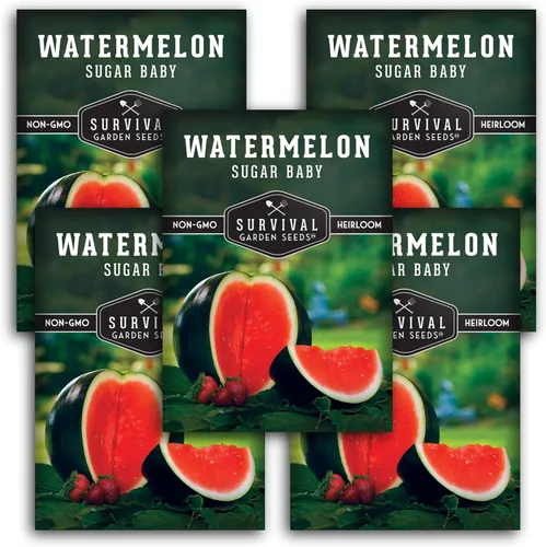 Vista 12 de Semillas de Jardín de Supervivencia - Semillas de Sandía Sugar Baby Cultive Pequeños Melones Redonditos de Nevera en Casa - Semillas Autóctonas