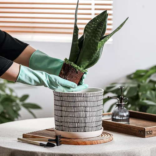 Vista 48 de Macetas de 5.8 pulgadas: maceta de cerámica con orificio de drenaje y platillo - Maceta para plantas de interior y exterior - Diseño con cuentas