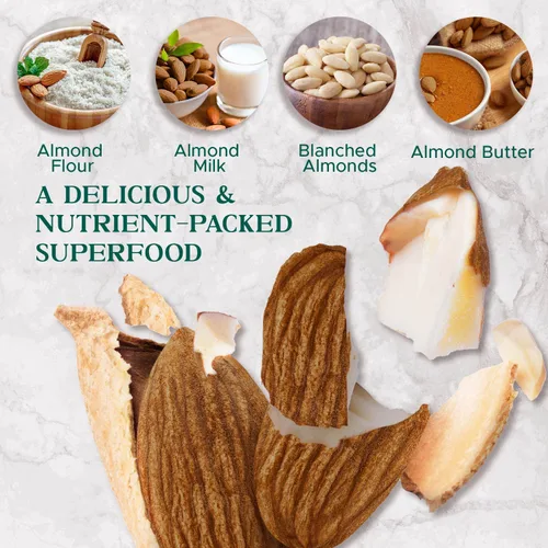 Vista 5 de Almendras tostadas secas sin sal, 16 onzas (1 libra), probadas por lotes, sin gluten y sin maní, sin aceite, enteras, sin PPO, sin OMG, sin