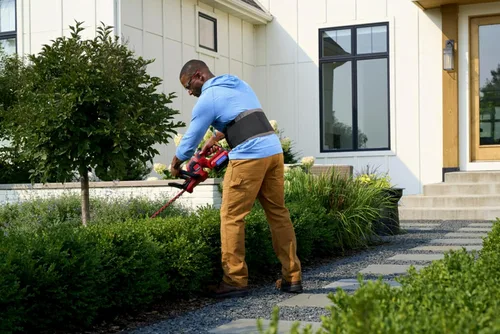 Vista 7 de ACE Estabilizador de espalda de lujo, con soporte lumbar, soporte de espalda, desarrollado por médicos, ajustable, ayuda con hernia de discos
