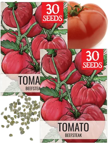 Vista 15 de Seed Needs Semillas de tomate para plantar tomates indeterminados de carne de res verdaderos, reliquia sin OMG y semillas de vegetales sin tratar