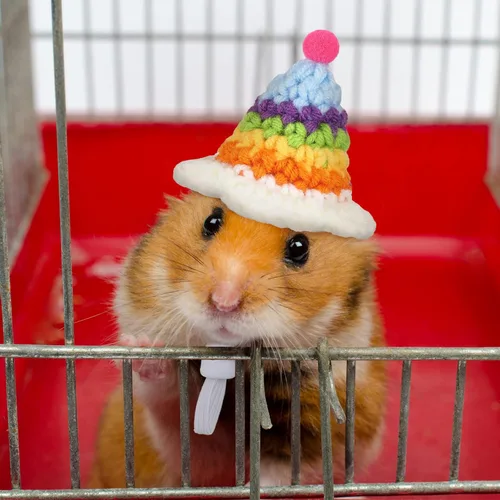 Vista 3 de 4 Pieces Hamster Hat Mini Small Animals Hat with Adjustable Strap Lovely Hand Knitted Frog Rainbow Carrot Tiny Hats for Lizard Guinea Pig Reptile