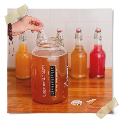 Vista 5 de Fermentaholics Kit de ingredientes: Kombucha clásica, prepara 1 galón, orgánico, Kosher