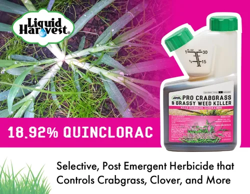 Vista 2 de Pro Crabgrass & Grassy Weed Killer - 18.92% Quinclorac (comparado con Drive XLR8) - Herbicida concentrado de pasto cangrejo profesional - Secado