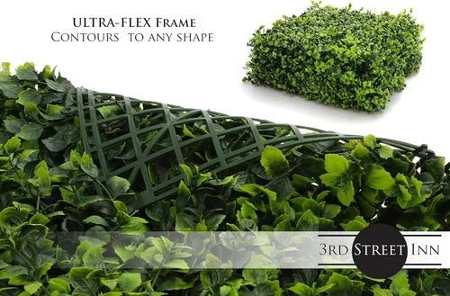 Vista 4 de 3rd Street Inn Panel de vegetación, pared de seto artificial, telón de fondo de pared de plantas falsas, pantalla de privacidad, paneles