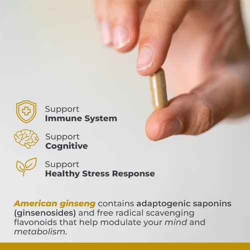 Vista 4 de Premier Research Labs Suplemento de ginseng americano – Cápsulas de ginseng americano, píldoras de raíz de ginseng a base de hierbas, extracto