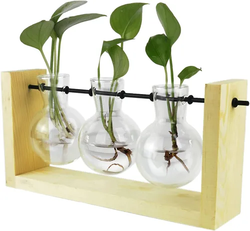 Vista 8 de Terrario para plantas con soporte de madera, jarrón de propagación de mesa, macetas hidropónicas de vidrio, maceta de aire, florero de vidrio