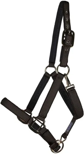 Vista 10 de Dura-Tech Cabestro de caballo de nailon totalmente acolchado Cabestro para caballo diseñado para evitar rozaduras Corona y bordillo de caballo