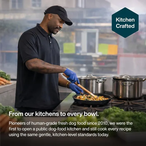 Vista 4 de JustFoodForDogs Comida Congelada Fresca para Perros, Comida Completa o Complemento, Receta de Carne de Res y Papa Russet de Grado Humano, 18 oz