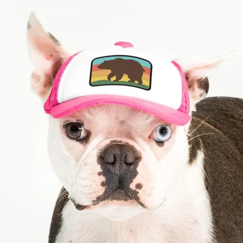 Vista 24 de Nature Collection, sombreros de camionero PupLid para perros (XXS) Protección solar elegante de alta calidad para el perro moderno, ajustable