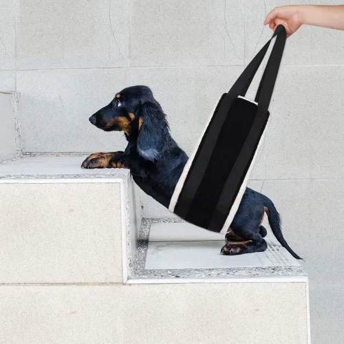 Vista 4 de JYSILIYH Arnés para perro para patas traseras, arnés de soporte para perro para pierna trasera, arnés de elevación para perros grandes