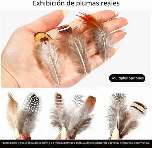 Vista 4 de SendyFeather 200 plumas naturales de 10 estilos surtidos de plumas para atrapasueños, manualidades, decoración de bricolaje 200
