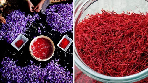 Vista 2 de SAFFRON, All Red Super Negin Grade A+ - Especias de alta calidad para paella, risotto, té persa, arroz persa y leche dorada, 1.76 oz
