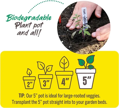 Vista 7 de Jiffy Maceta - Semilla orgánica de inicio, macetas biodegradables para plántulas - 5 pulgadas, 100 macetas - Turba