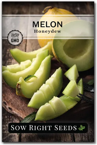 Sow Right Seeds - Semillas de melón de melón verde para plantar - Paquete de reliquia sin OMG con instrucciones para plantar un huerto casero -