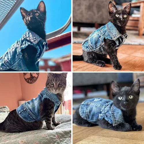 Vista 8 de Chaqueta de mezclilla Brocarp para perro, chaleco con solapa de denim azul, camiseta disfraz, ropa linda para perritos y gatitos, ropa cómoda
