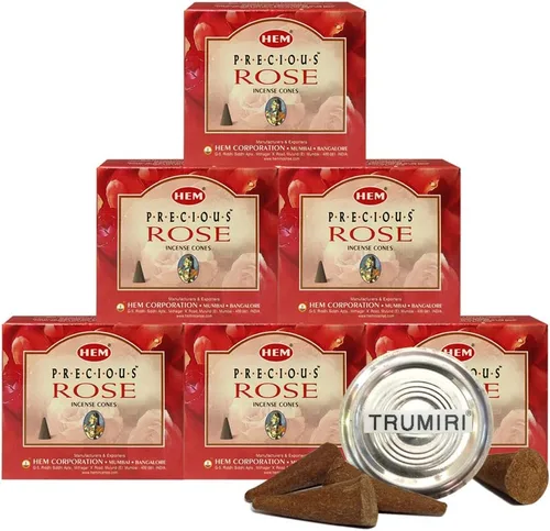 Vista 15 de TRUMIRI Paquete de soporte para cono de incienso con dobladillo de aloe vera - Paquete de 6 (aproximadamente 60 conos)