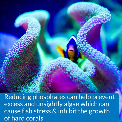 Vista 7 de API Kit de prueba de fosfato para agua dulce y salada, 64 onzas