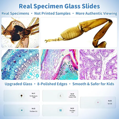 Vista 7 de Regalo de ciencia de microscopio digital para niños: kit completo de Verde