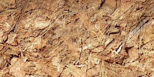 Vista 3 de FibreDust Coco Mulch, 11 libras (paquete de 2)