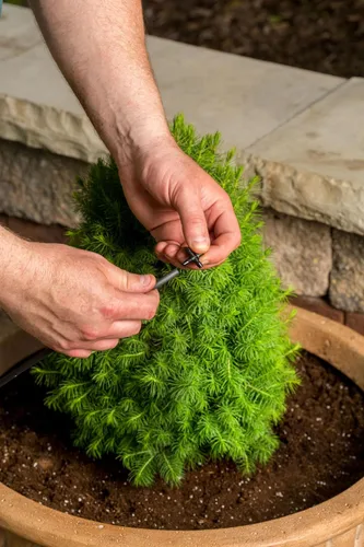 Vista 7 de Rain Bird DRIPKITBAG Kit de reparación y expansión de riego por goteo