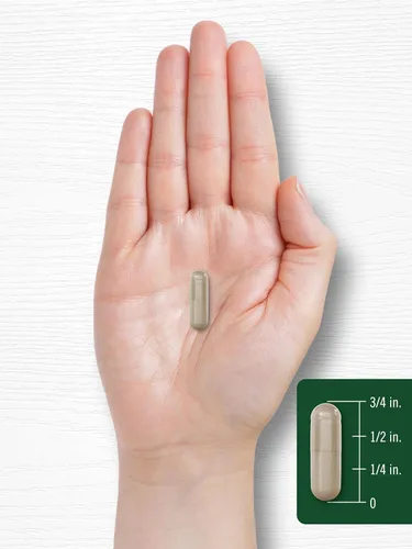 Vista 8 de Carlyle Panax Ginseng y Ginkgo 120 cápsulas vegetarianas Suplemento sin OMG y sin gluten