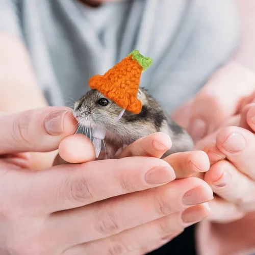 Vista 4 de 4 Pieces Hamster Hat Mini Small Animals Hat with Adjustable Strap Lovely Hand Knitted Frog Rainbow Carrot Tiny Hats for Lizard Guinea Pig Reptile