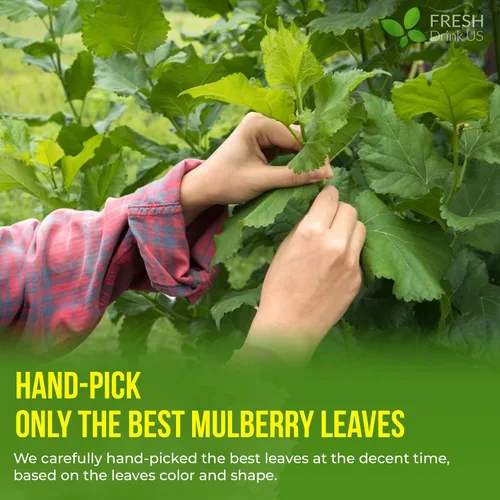 Vista 695 de FreshDrinkUS, 135 bolsas de té de jengibre y cúrcuma premium, ingredientes 100% naturales, mezcla hecha a mano de té de hierbas de cúrcuma