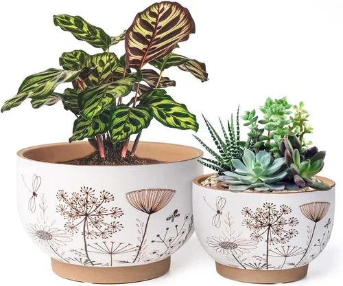 Vista 16 de Succulent Pots Terracotta, 6 Inch Plant Pot for Plants with Drainage Hole, Ceramic Planter Mushroom Pattern, Round Flower Pots for Indoor Outdoor