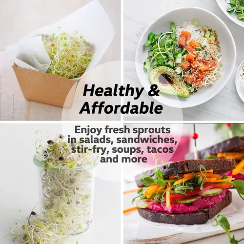 Vista 7 de Kit de tarros de germinación de semillas – 2 tarros de masón de boca ancha con tapas de germinación de acero inoxidable 316, bandeja de goteo