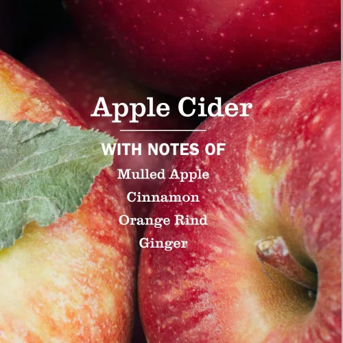 Vista 2 de MRS. MEYER'S CLEAN DAY, Vela perfumada de aromaterapia de soja, 35 horas de tiempo de combustión, hecha con cera de soja y aceites esenciales, sidra