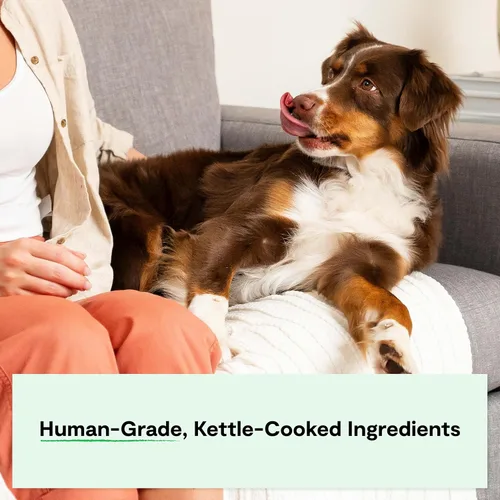 Vista 4 de Open Farm Rustic Stews - Alimento húmedo para perros, sin granos, completa y equilibrada con ingredientes de grado humano, caldo de carne y huesos