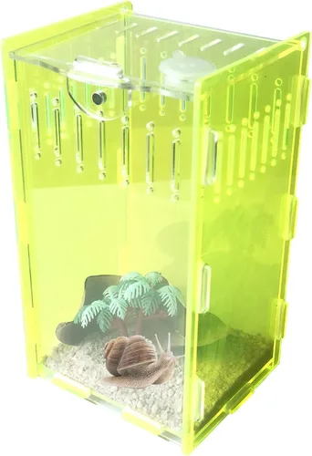Terrario de reptiles, tanque de cría de tarántula acrílica vertical, tanque de cría de acuario de 5 x 4 x 8 pulgadas para invertebrados y reptiles