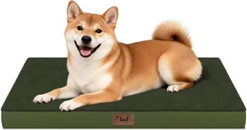 Vista 101 de Cama para perros y gatos pequeños, impermeable, para jaula de huevos, espuma ortopédica con funda Oxford lavable y extraíble, color verde Amy