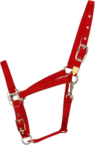 Vista 7 de Hamilton Caballo árabe de nailon de 3/4 pulgadas con barbilla ajustable y broche de garganta, promedio, 800 a 1100 libras, negro