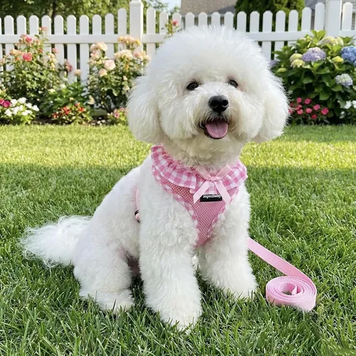 Vista 6 de SuperBuddy Arnés para perro de malla suave mejorado, arneses súper transpirables y ligeros para mascotas, para cachorros y perros al aire libre