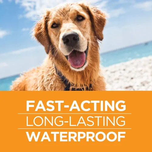 Vista 5 de FirstAct Plus - Tratamiento de pulgas para perros, perros pequeños de 5 a 22 libras, 6 dosis, los mismos ingredientes activos que la prevención