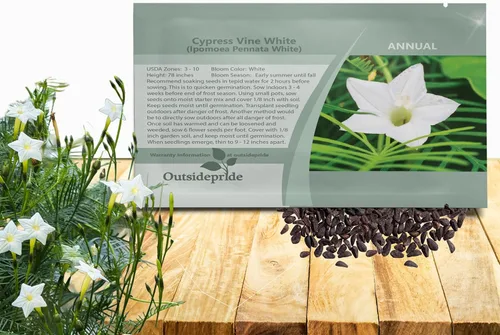 Vista 8 de Outsidepride Semillas mixtas de vid de ciprés - 100 piezas de semillas anuales de flores con néctar rico, flores en forma de estrella y hojas