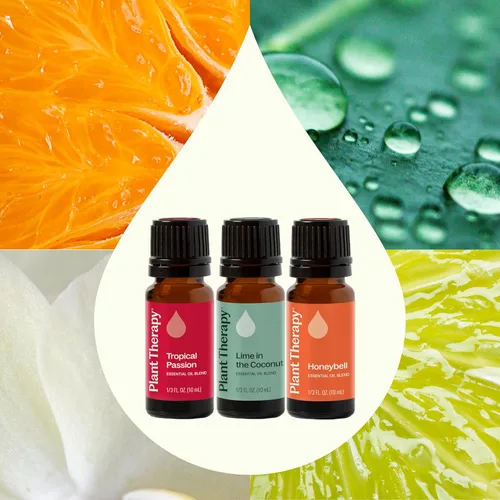 Vista 3 de Plant Therapy Tropical Scents Home - Juego de 3 mezclas de aceites esenciales que incluyen aromas naturales para aromatizar tu hogar con Honeybell