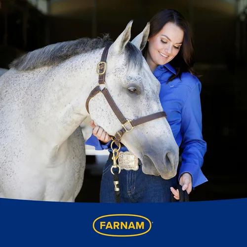 Vista 11 de Farnam Pasta probiótica para caballos, suplemento de salud digestiva e inmunológica de entrega rápida que apoya un equilibrio microbiano saludable