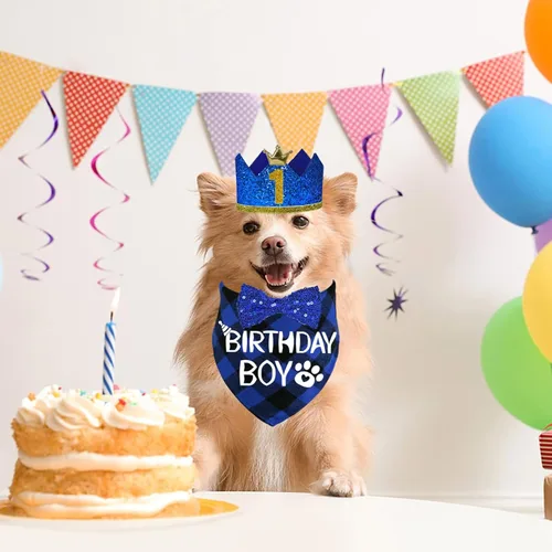 Vista 2 de STMK Suministros para fiesta de cumpleaños para perros, sombrero de cumpleaños de perro de varios tamaños con números, bandana pajarita para perros